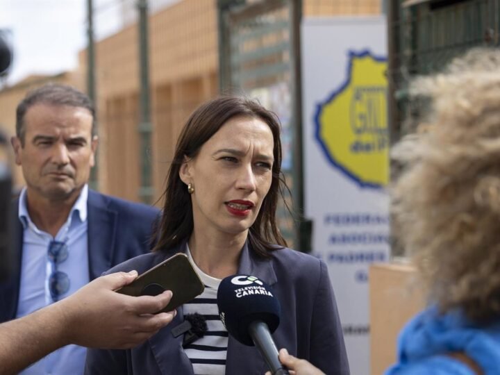 PSOE critica falta de coordinación del Gobierno canario en suspensión de clases en español