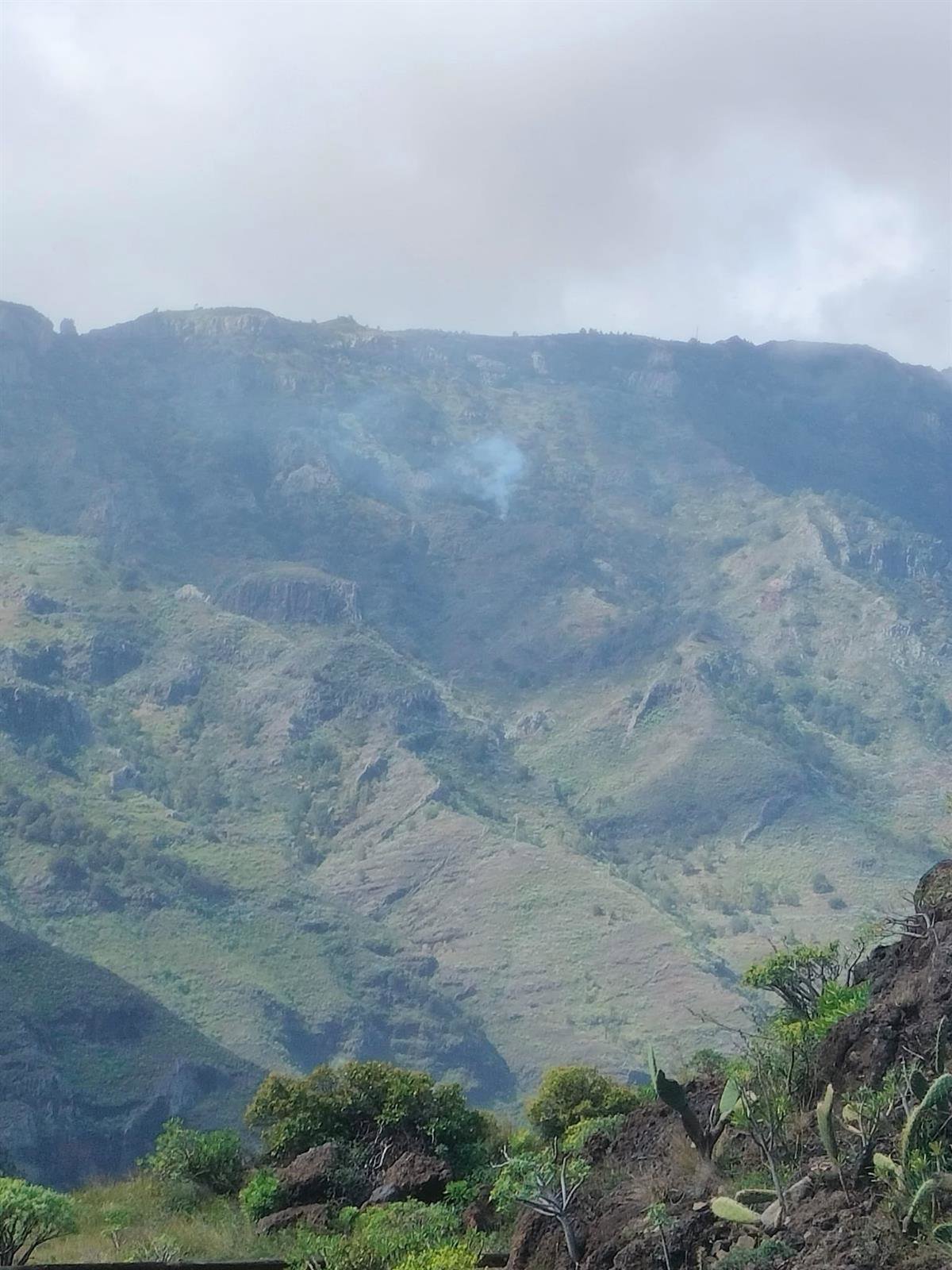 Trabajan en la extinción de un conato de incendio en Chejelipes, San Sebastián de La Gomera