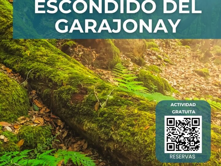 Buscan ‘El tesoro del Garajonay’ tras aplazamiento por mal tiempo.