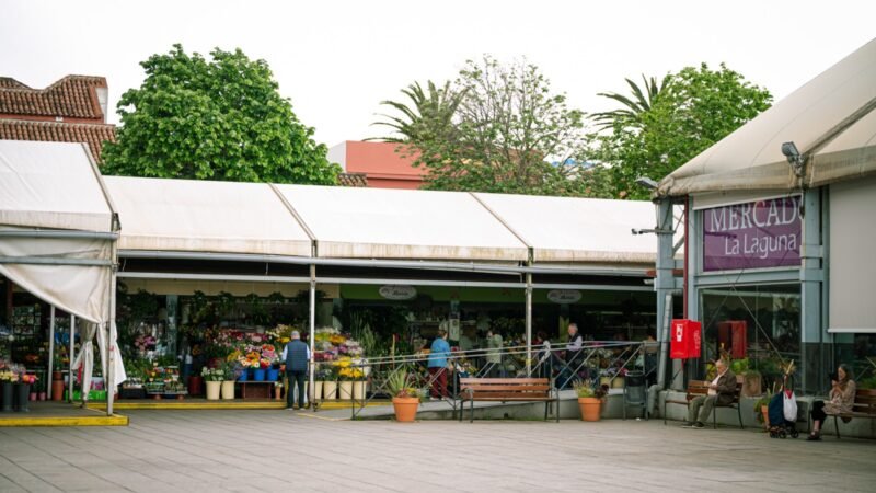 El Ayuntamiento de La Laguna mejora el Mercado Municipal para ofrecer mejores prestaciones y accesibilidad.