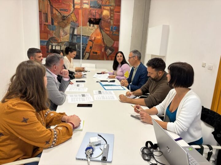 El Cabildo de La Palma enfrenta el reto demográfico del Valle con el Proyecto Aridane.