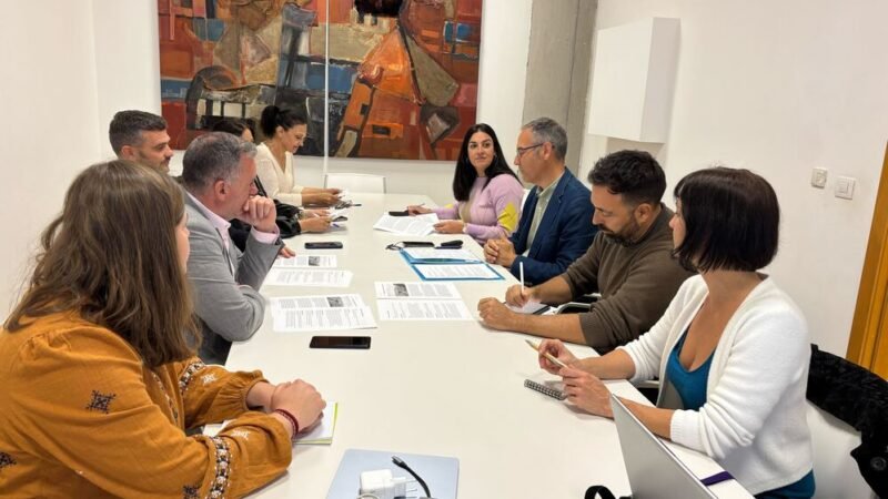 El Cabildo de La Palma enfrenta el reto demográfico del Valle con el Proyecto Aridane.