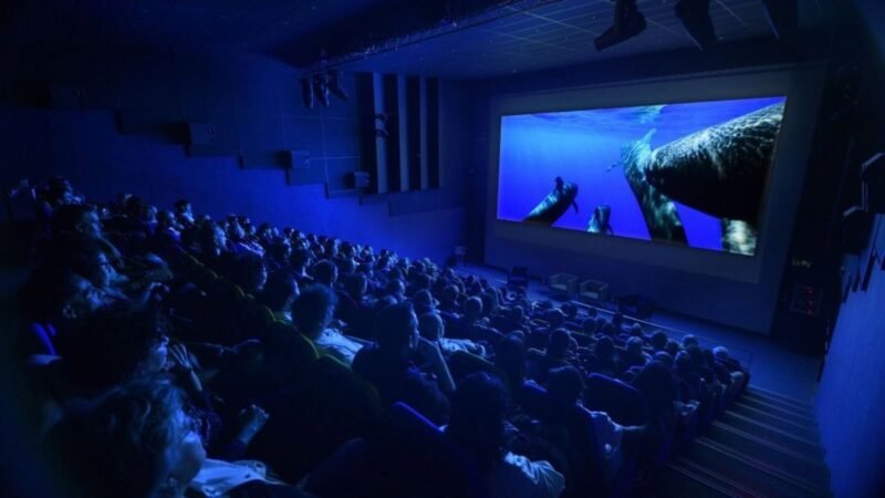 El documental ‘Nika, el calderón tropical’ concluye su gira mundial con éxito en Las Palmas de Gran Canaria.