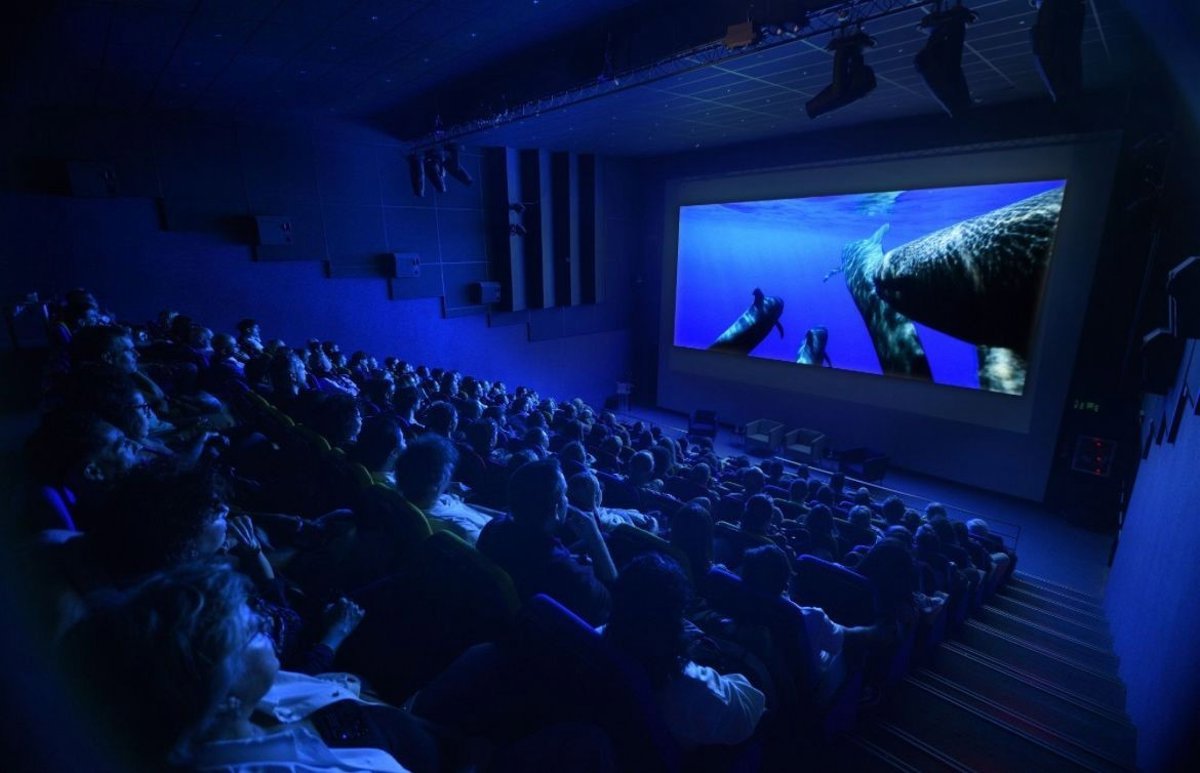 El documental ‘Nika, el calderón tropical’ concluye su gira mundial con éxito en Las Palmas de Gran Canaria.