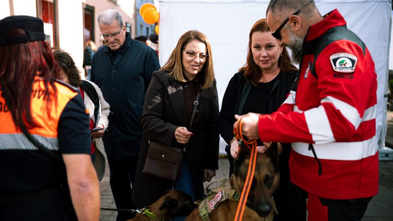 Gran participación de entidades de voluntariado en Feria de San Cristóbal de La Laguna