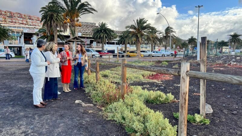 La Consejería de Turismo destinará 250.000 euros para recuperar el Saladar de Jandía en Fuerteventura