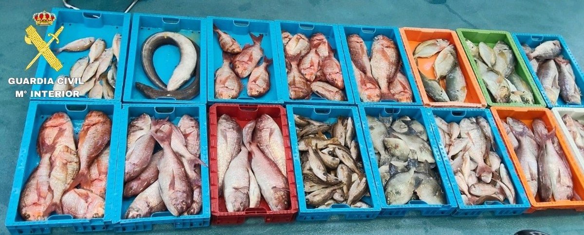 La Guardia Civil incauta 230 kilos de pescado de la Reserva Marina de La Graciosa.