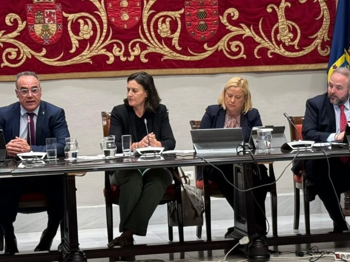 Nuevo incentivo fiscal propuesto por el comisionado del REF de Canarias para impulsar la inversión en capital humano y mejorar la productividad