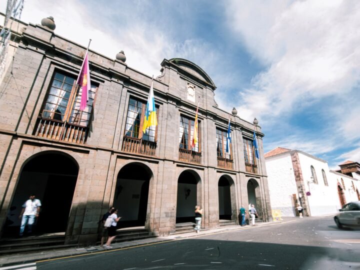 El Ayuntamiento de La Laguna celebra pleno protagonizado por personas con discapacidad