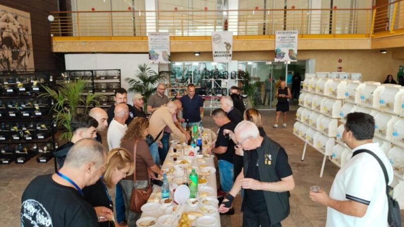 Hoy hablamos con la Asociación Ornitológica Tenerife Sur del Canario: pasión, conservación y un liderazgo femenino que hace historia